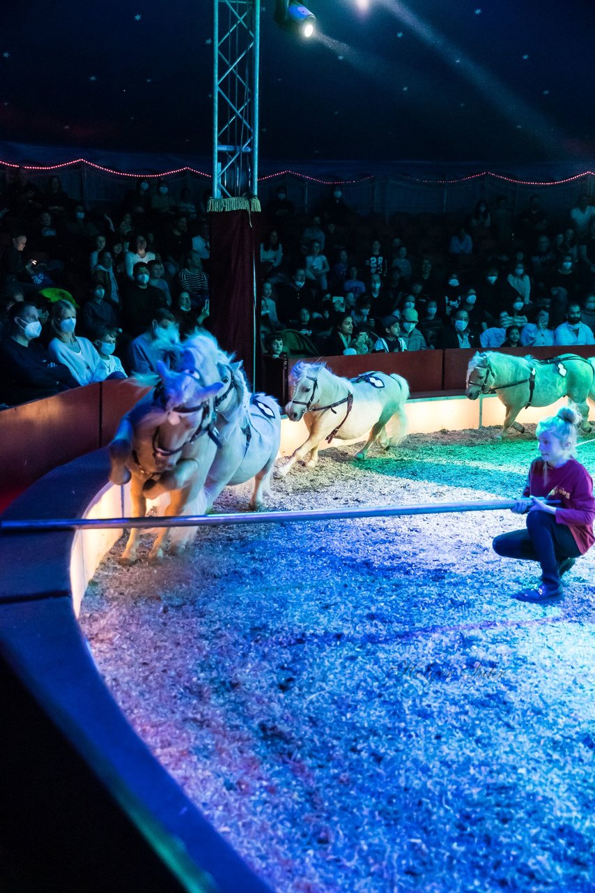 Bild 381 - Zirkus Europa